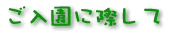 �������ɍۂ���