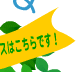 j[X͂